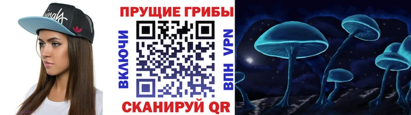 Галлюциногенные грибы MAGIC MUSHROOMS  купить  сайты  мега   Ангарск 