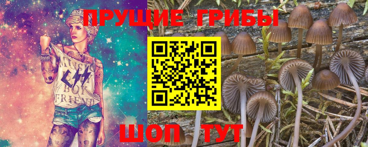 Псилоцибиновые грибы прущие грибы  Вход с VPN  Ангарск 